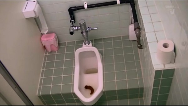 [VICD-263] Hidden camera in the toilet Woman scared and she crap.